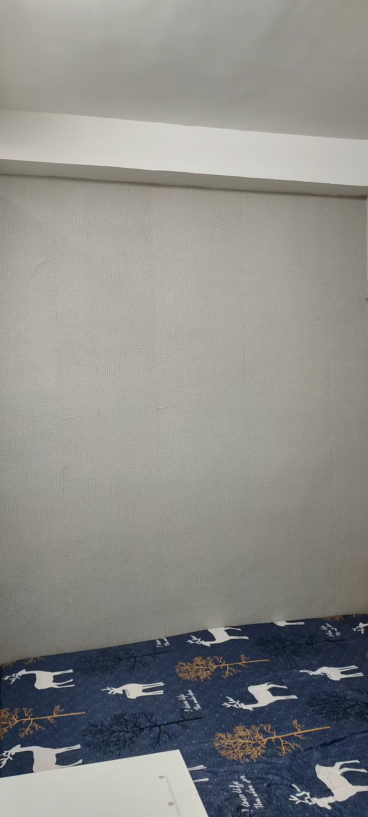 微信图片_20260518141342_87_3.jpg